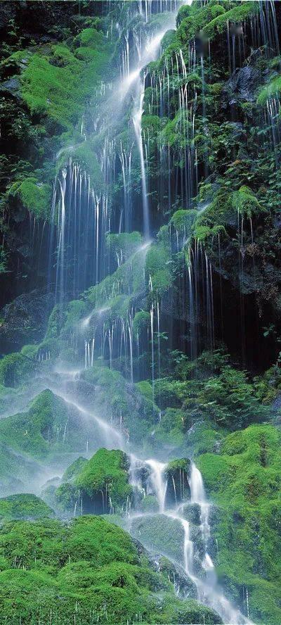 逃离水虎鱼湖