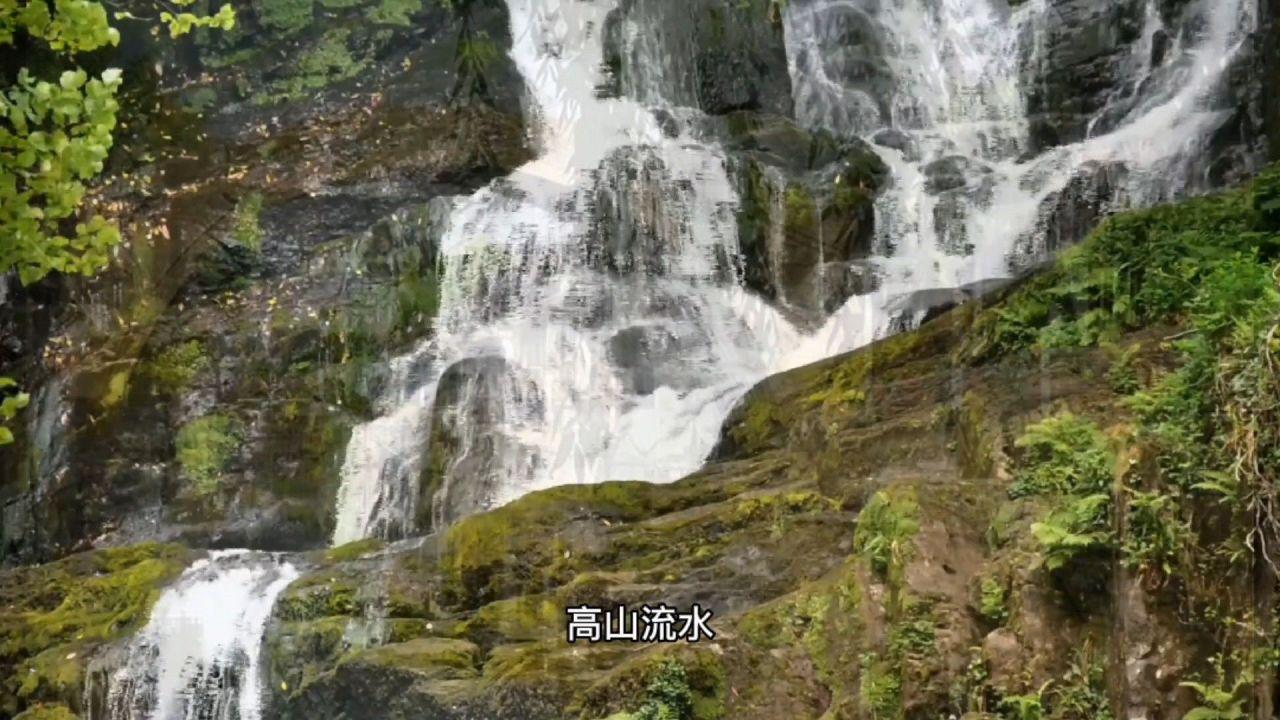 减脂期的解馋救星,教练说我可以抱锅吃!