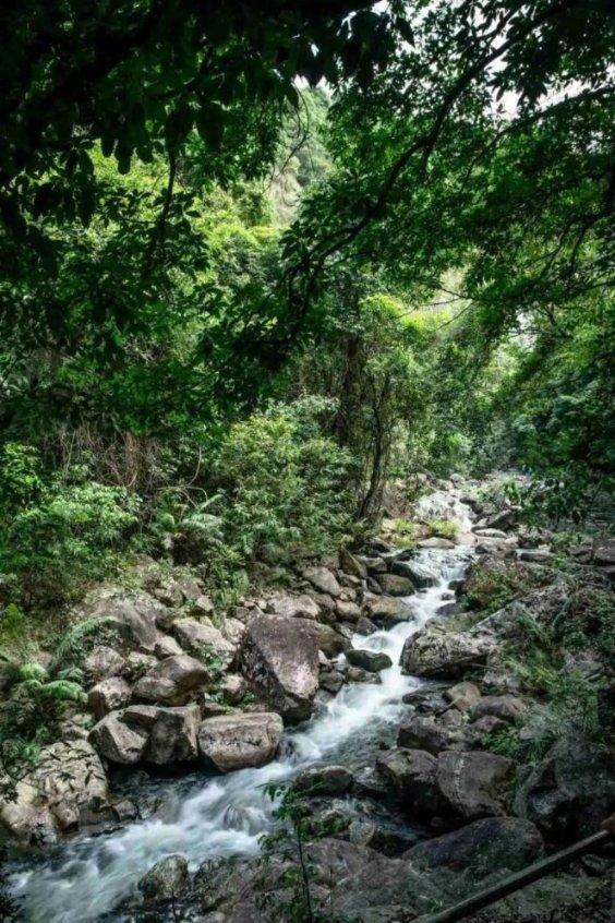 西昌邛海湿地获评四川省体育旅游示范基地